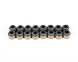 BRIAN TOOLEY RACING VSLSKIT LS Valve Seal Kit