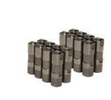 BRIAN TOOLEY RACING X12499225-16 Delphi LS7 Lifters - (16)