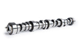 CAM MOTION INC 03-01-0017 LS Hyd Roller Cam 3-Bolt .595 /.587 113 Degrees