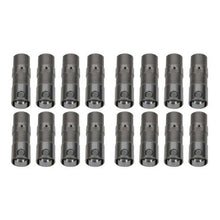 Load image into Gallery viewer, CAM MOTION INC LS039111102 LS Hyd Roller Lifter Set