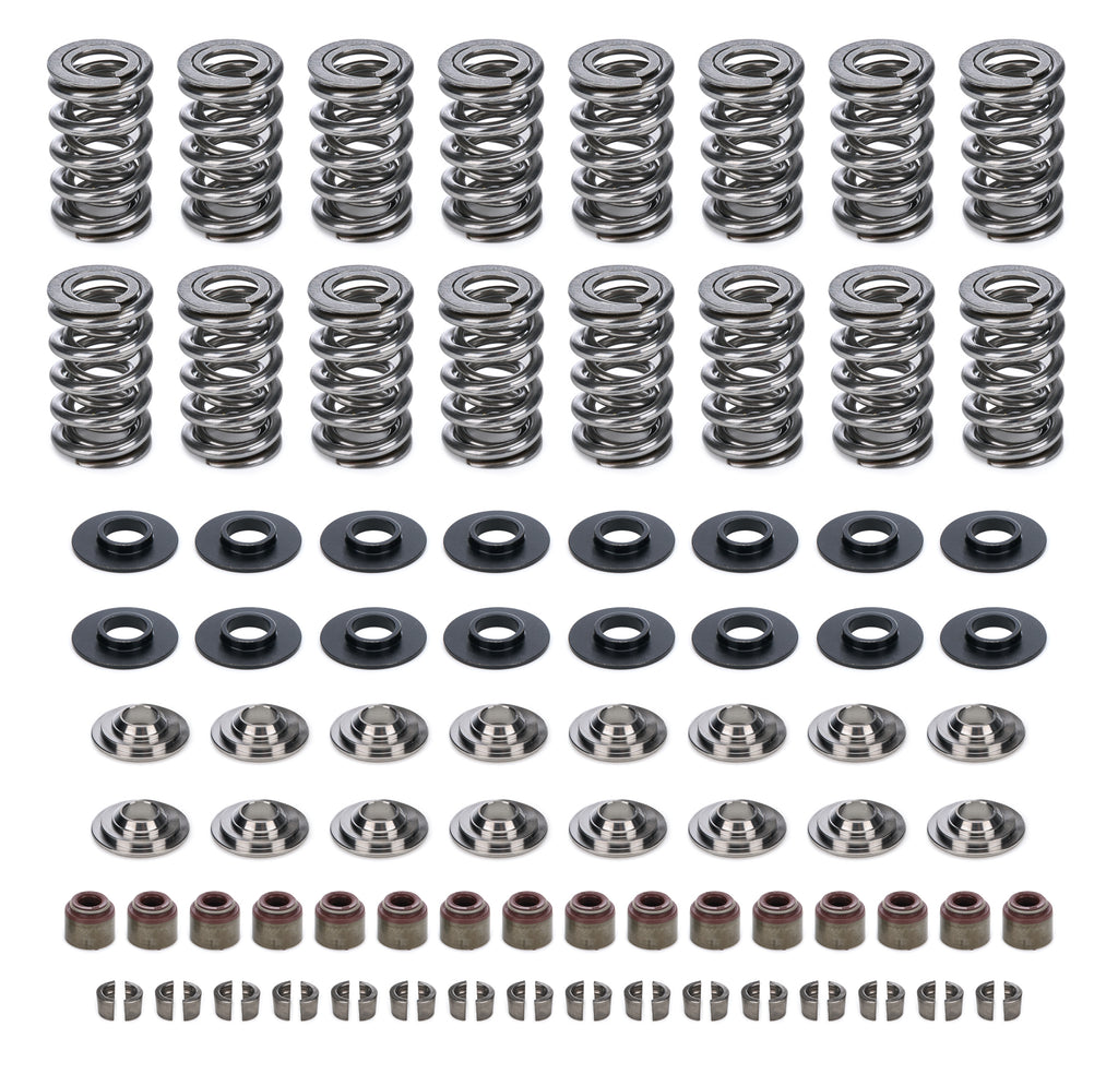 CAM MOTION INC VSK143803 GM LS Dual Valve Spring Kit .660 Dia.