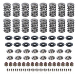 CAM MOTION INC VSK143803 GM LS Dual Valve Spring Kit .660 Dia.
