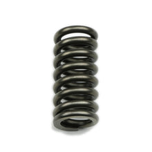 Load image into Gallery viewer, COAN 22043 Reverse Servo Spring