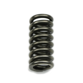 COAN 22043 Reverse Servo Spring