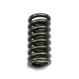COAN 22043 Reverse Servo Spring