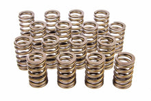 Load image into Gallery viewer, CROWER 68135-16 Valve Springs - 604 Crate Engine