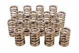 CROWER 68135-16 Valve Springs - 604 Crate Engine