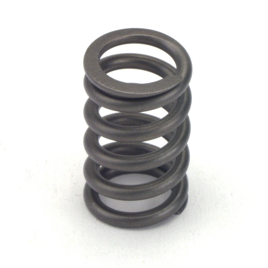CROWER 68190-24 Valve Springs - Single 1.090