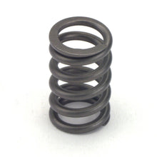Load image into Gallery viewer, CROWER 68190-24 Valve Springs - Single 1.090
