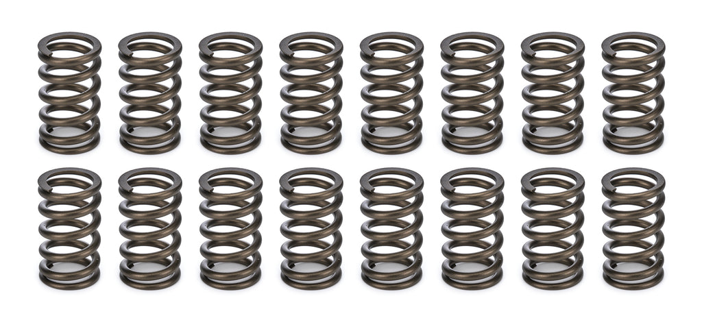 CROWER 68195-16 Valve Springs - 1.045
