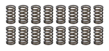 Load image into Gallery viewer, CROWER 68195-16 Valve Springs - 1.045