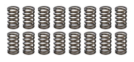 CROWER 68195-16 Valve Springs - 1.045