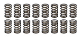 CROWER 68195-16 Valve Springs - 1.045