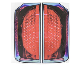 DOMINATOR RACE PRODUCTS 309 Tail Graphics Dominator SS