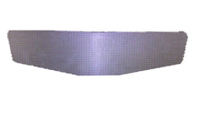 Load image into Gallery viewer, DOMINATOR RACE PRODUCTS 310 Nose Screen Dominator SS Street Stock