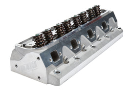 DART 128121 SBF SHP Cylinder Head 175cc/58cc  - Assem.