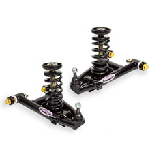 Load image into Gallery viewer, DETROIT SPEED ENGINEERING 030344DS Lower Control Arm Weight Jack Kit