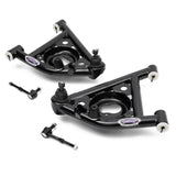 DETROIT SPEED ENGINEERING 031208DS Lower Tubular Control Arms