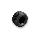 EARLS AT593202ERL NPT Plug Allen Head 1/8 NPT (2pk)