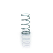 Load image into Gallery viewer, EIBACH 0600.300.0250S Spring 6in Coil-Over 3.0in ID Silver
