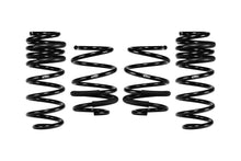 Load image into Gallery viewer, EIBACH E10-201-006-02-22 Pro Kit Acura Integra Type S