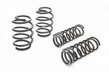Load image into Gallery viewer, EIBACH E10-35-029-06-22 Pro Kit Mustang GT350 Set of 4 Springs
