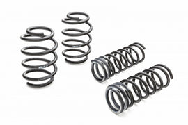 EIBACH E10-35-029-06-22 Pro Kit Mustang GT350 Set of 4 Springs