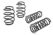 Load image into Gallery viewer, EIBACH E10-35-029-07-22 Pro Kit Mustang Set of 4 Springs