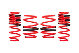EIBACH E20-40-043-04-22 Sportline Kit 2022-25 Honda Civic Type R