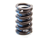 ELGIN RV-1943X SBC 1.25in Claimer Valve Spring