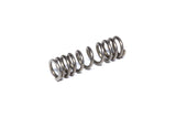 ENDERLE 6007-250A #6 Check Valve Spring  90-250 Pound Range