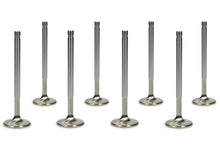 Load image into Gallery viewer, FERREA F1477P-8 SBC C/P 1.600 Exhaust Valves 11/32 5.300 OAL