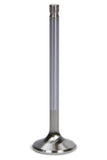 FERREA F1811P-1 SBC C/P 1.600 Exhaust Valve