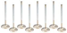 Load image into Gallery viewer, FERREA F2222P-8 Ferrea F2222P-8 Competition Plus Exhaust Valves for Big Block Ford, 1.880 Inch Head Diameter, 11/32 Inch Valve Stem, 5.700 Inch Overall Length, Set of 8