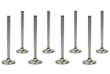 FERREA F2302P-8 SBC C/P 1.600 Exhaust Valves 5/16  5.160 OAL
