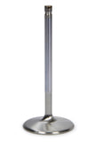 FERREA F2369P BBC C/P 2.350 Intake Valve