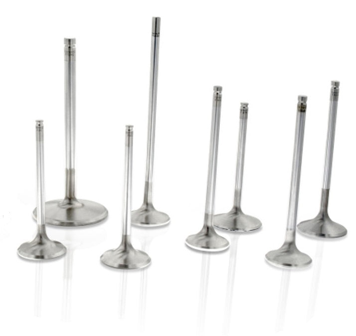 FERREA F6316-8 SBC C/6 1.600 Exhaust Valves 5/16 5.060 OAL