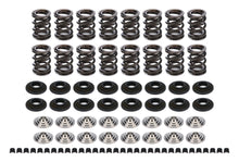 Load image into Gallery viewer, FERREA KT4001 Endurance Dual Spring Kit Honda/Acura1.6/1.8