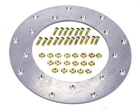 FIDANZA ENGINEERING 229501 Flywheel Insert Plate
