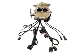 FiTECH FUEL INJECTION 39001 Go EFI 2 Barrel EFI Kit HP Classic Gold