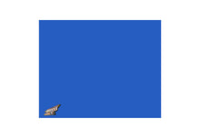 Load image into Gallery viewer, FIVESTAR 34000-35851-CB Nose Filler Panel MD3 Modified Chevron Blue