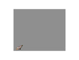 FIVESTAR 34000-35851-G Nose Filler Panel MD3 Modified Gray