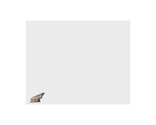 Load image into Gallery viewer, FIVESTAR 34000-35851-W Nose Filler Panel MD3 DLM White