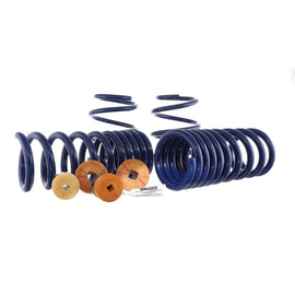 FORD M5300-YA Track Lowering Spring Kit 15-23 Mustang