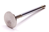 FORD M6505-G302 Stainless Exhaust Valve 1.540