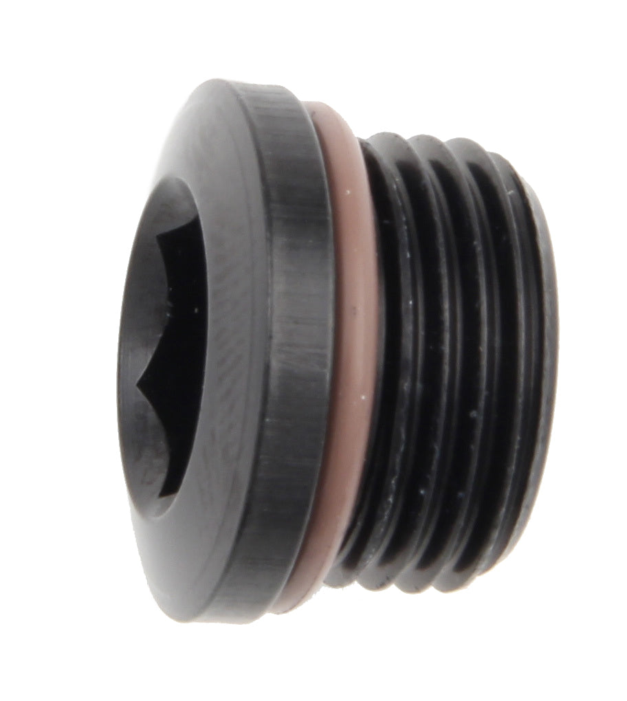 FRAGOLA 481310-BL #10 Port Plug w/ Socket Hex