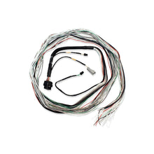 Load image into Gallery viewer, FUELTECH USA 2001004001 FT600/FT700 Harness 10ft