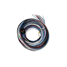 FUELTECH USA 2001005570 FT450/550 A Harness 20ft