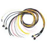 FUELTECH USA 2001008771 FT700 C&D Harness 10ft
