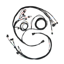 Load image into Gallery viewer, FUELTECH USA 2002007356 FT450/550 Sportsman A Datalogging Harness